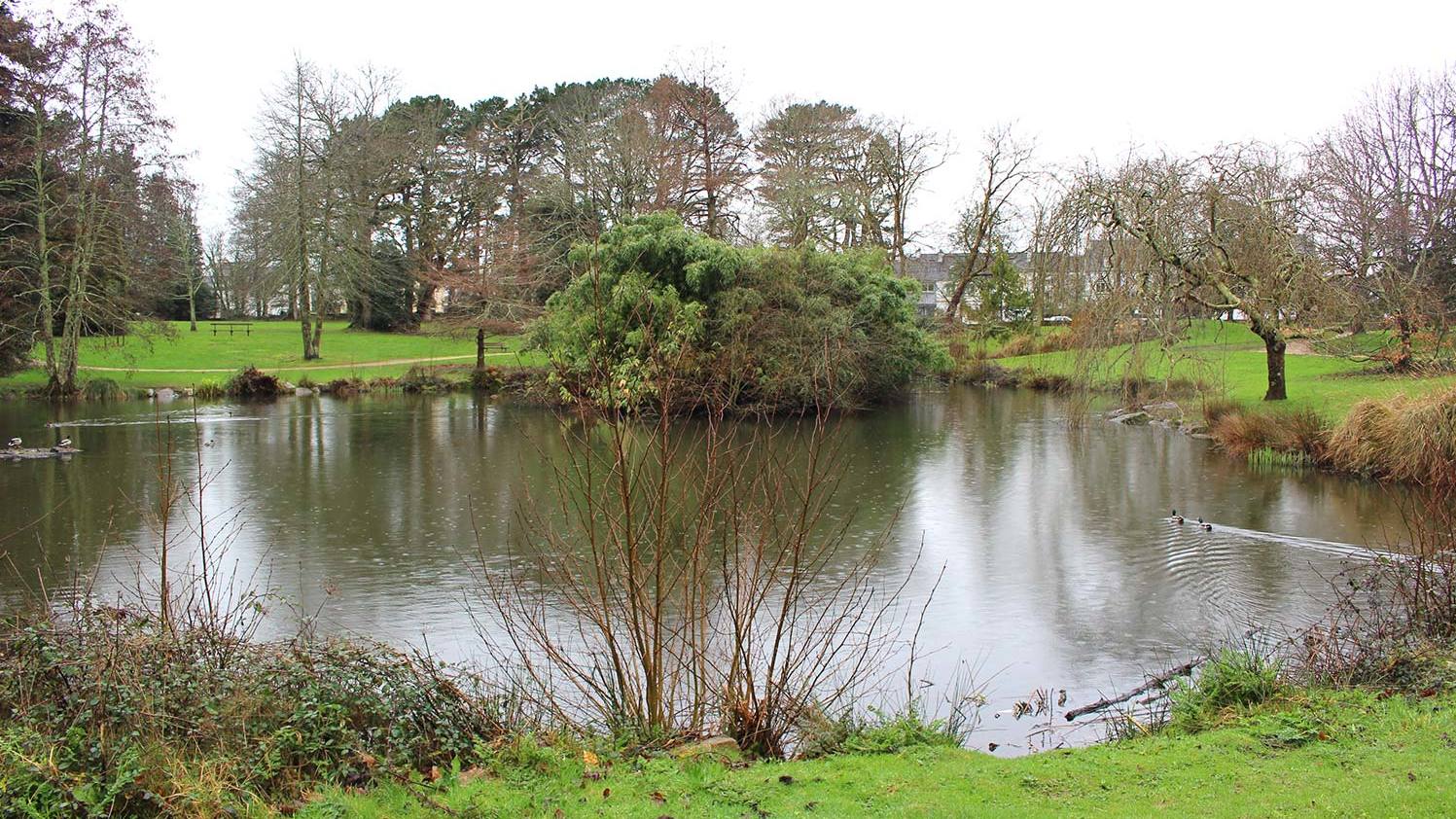 plan d’eau du parc du Plessis - février 2026