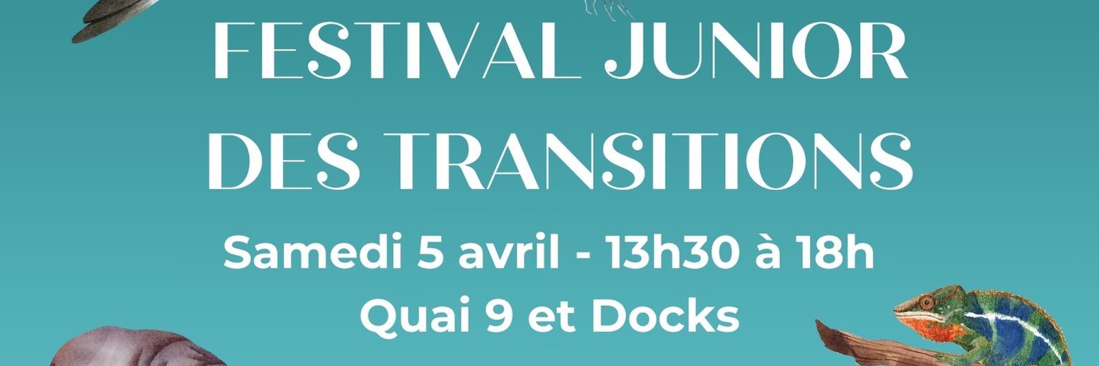 affiche festival junior des transitions